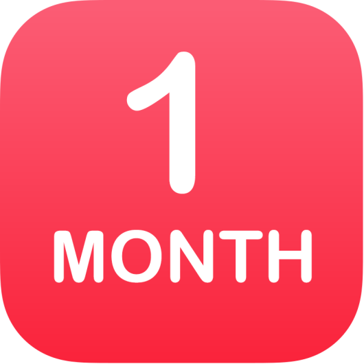 1 Month Service