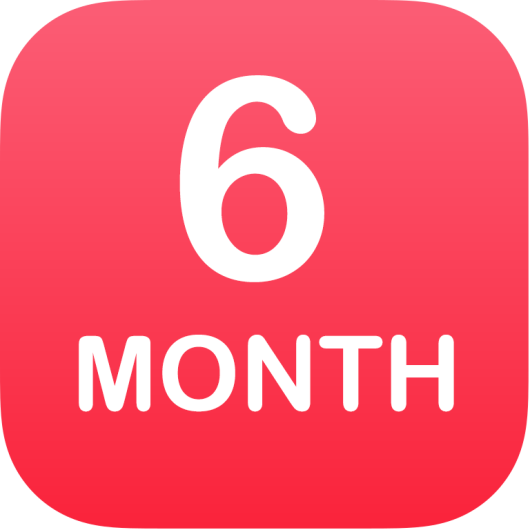 6 Month Service